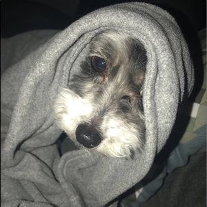 Meet your Posher, Brianna